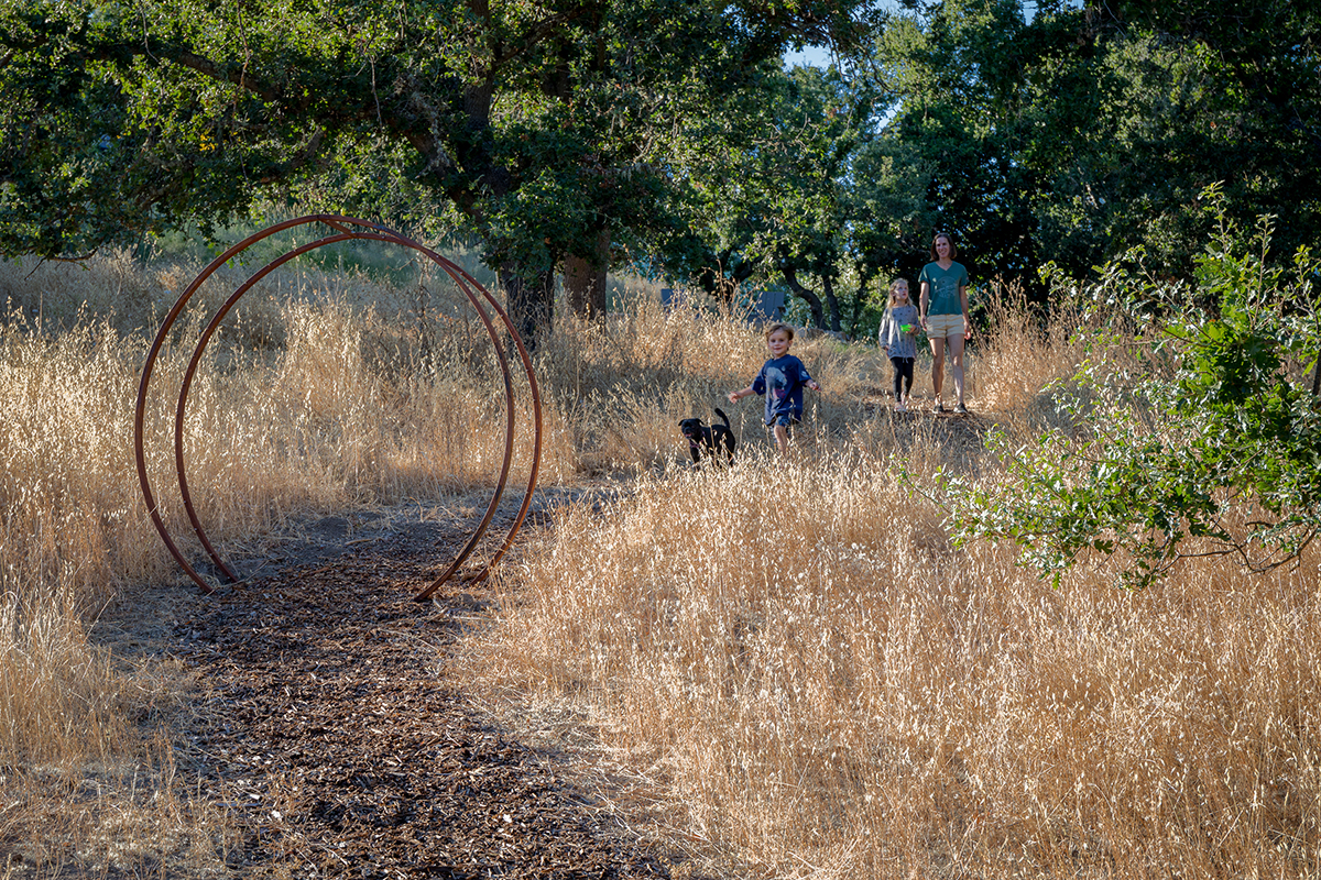 Natural Hillside Connection and Play