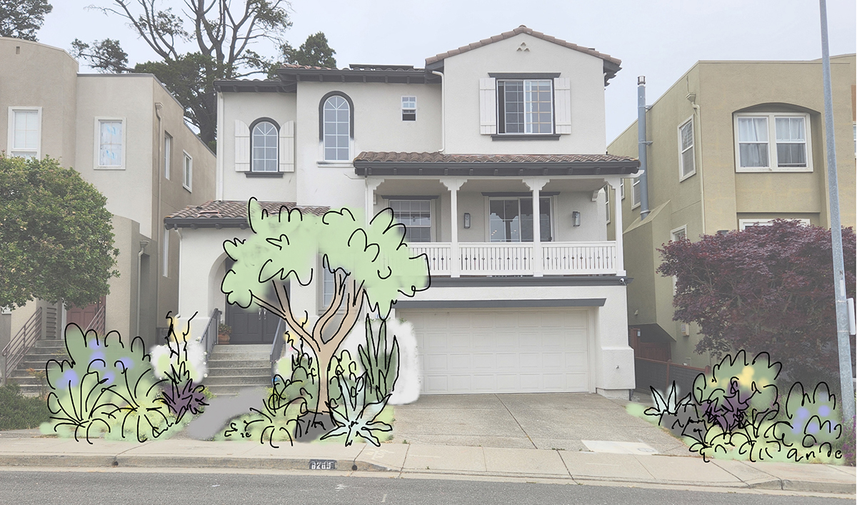 An Oakland California front garden gets a drought tolerant, modern and colorful facelift with California Native Plants