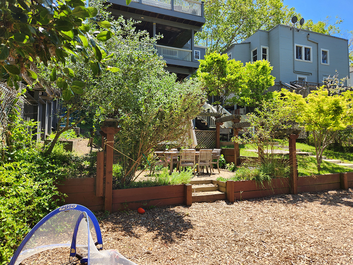 Oakland Piedmont Garden Design Sloped Hillside Adventure Outdoor Playground Young Kids Stumps Swings Soccer Dining Family Backyard Native Plants