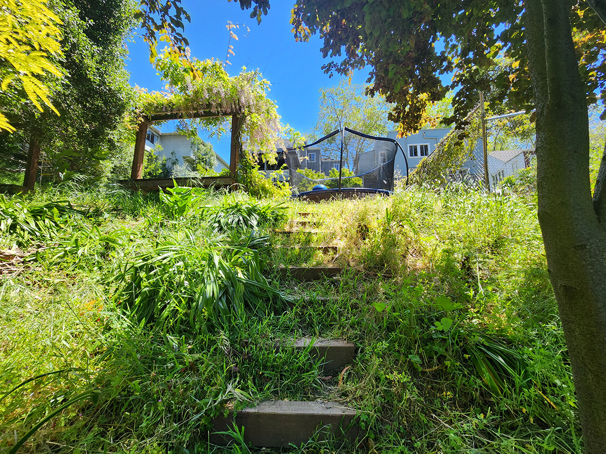 Oakland Piedmont Garden Design Sloped Hillside Adventure Outdoor Playground Young Kids Stumps Swings Soccer Dining Family Backyard Native Plants