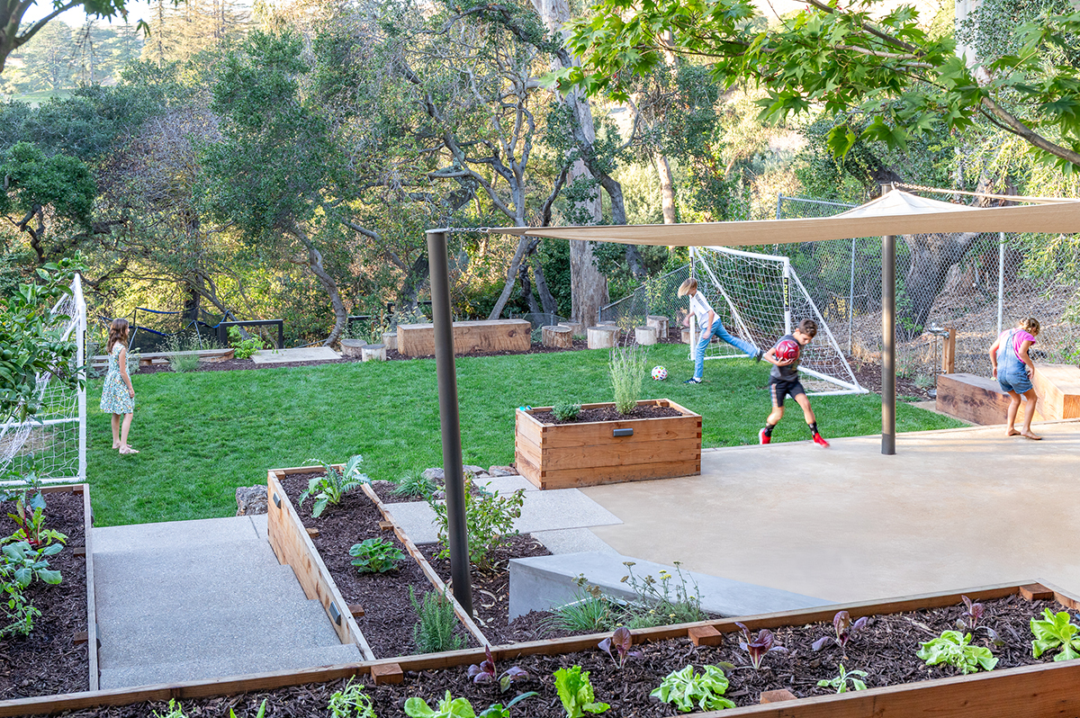 Oakland Piedmont Garden Design Sloped Hillside Adventure Outdoor Playground Young Kids Stumps Swings Soccer Dining Family Backyard Native Plants