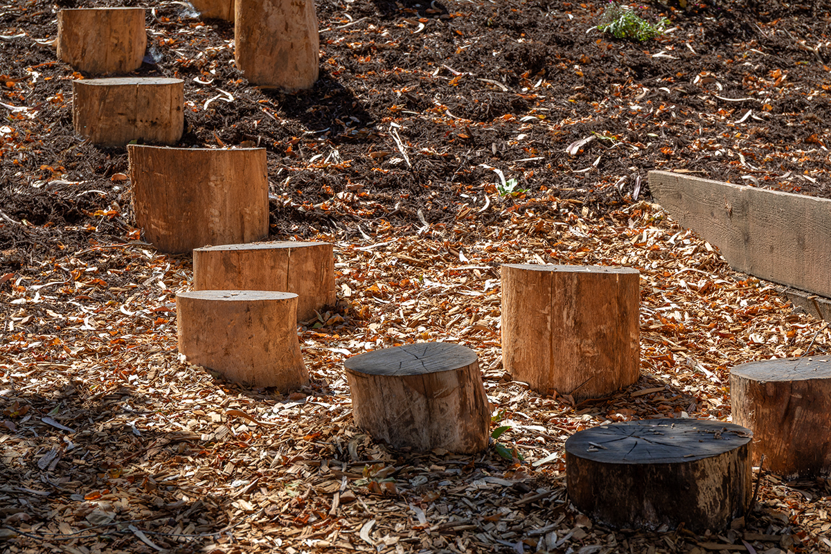 Oakland Piedmont Garden Design Sloped Hillside Adventure Outdoor Playground Young Kids Stumps Swings Soccer Dining Family Backyard Native Plants