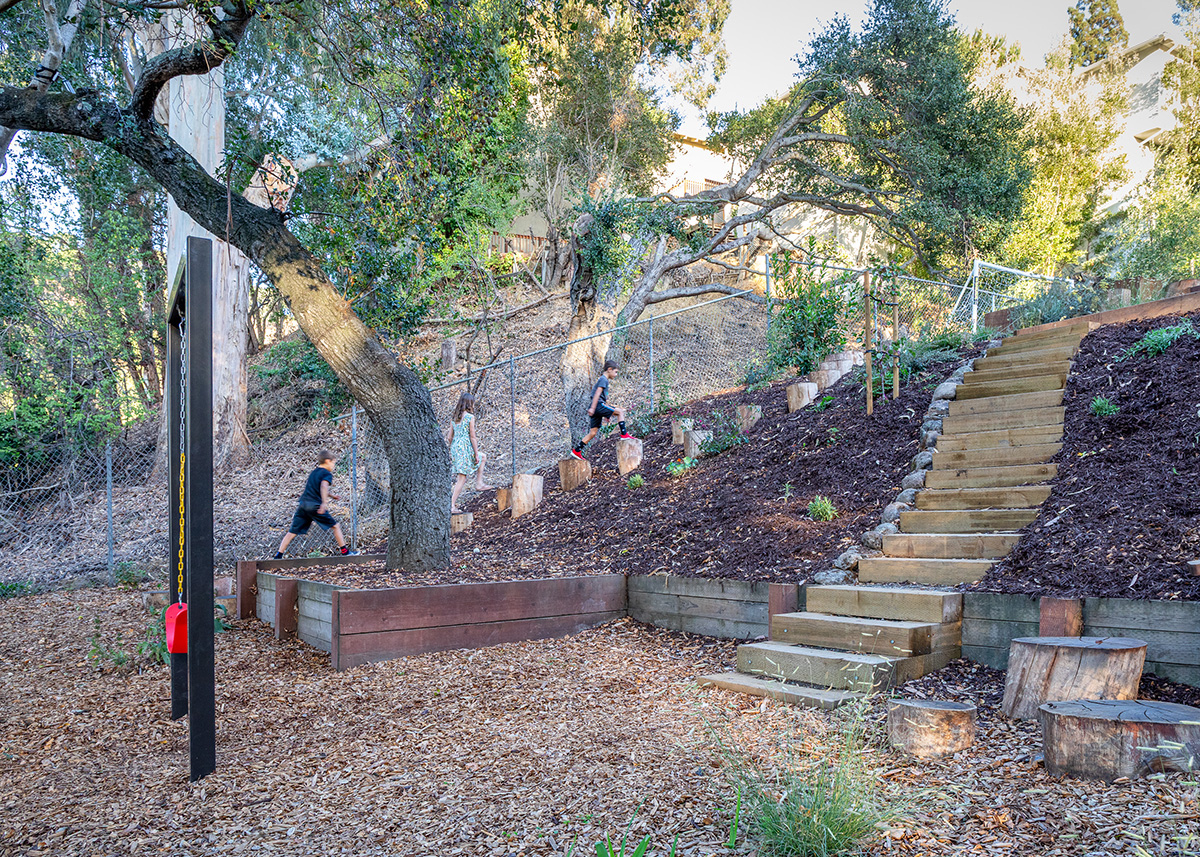 Oakland Piedmont Garden Design Sloped Hillside Adventure Outdoor Playground Young Kids Stumps Swings Soccer Dining Family Backyard Native Plants