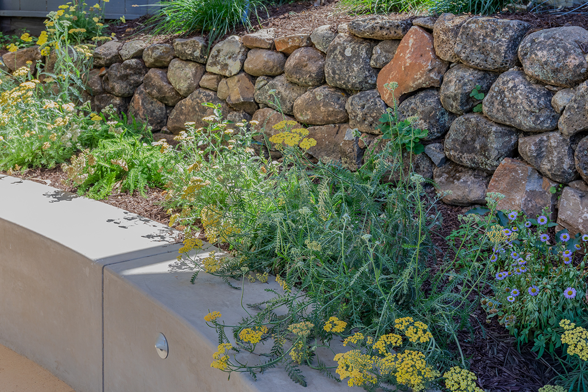 Oakland Piedmont Garden Design Sloped Hillside Adventure Outdoor Playground Young Kids Stumps Swings Soccer Dining Family Backyard Native Plants