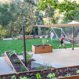 Oakland Piedmont Garden Design Sloped Hillside Adventure Outdoor Playground Young Kids Stumps Swings Soccer Dining Family Backyard Native Plants